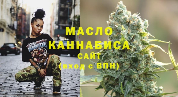 сатива Каменка