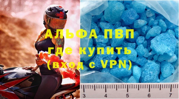 сатива Каменка