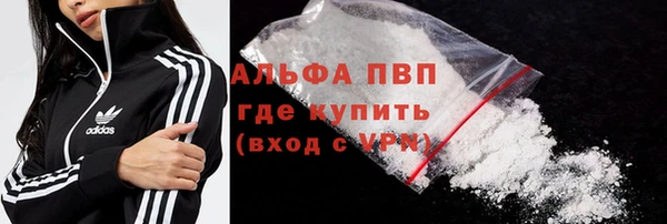 сатива Каменка