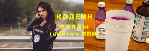сатива Каменка