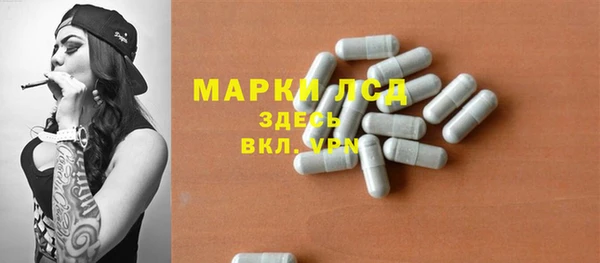 стафф Каменногорск