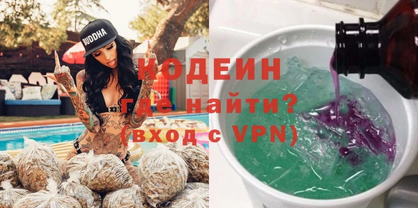 сатива Каменка