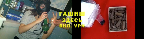 стафф Каменногорск