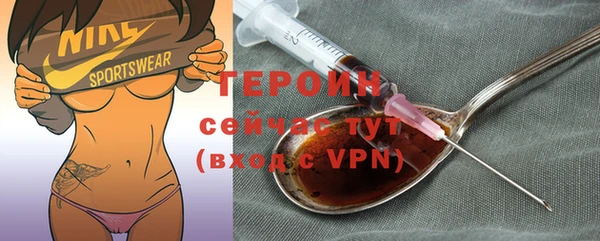 сатива Каменка