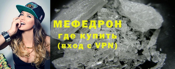 сатива Каменка