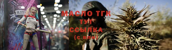 сатива Каменка