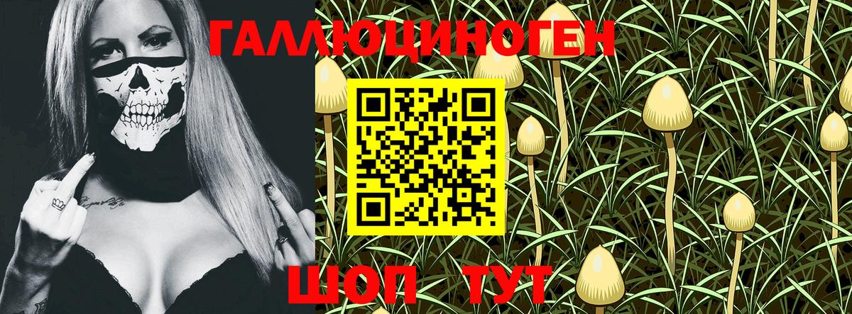 Галлюциногенные грибы GOLDEN TEACHER Ковров