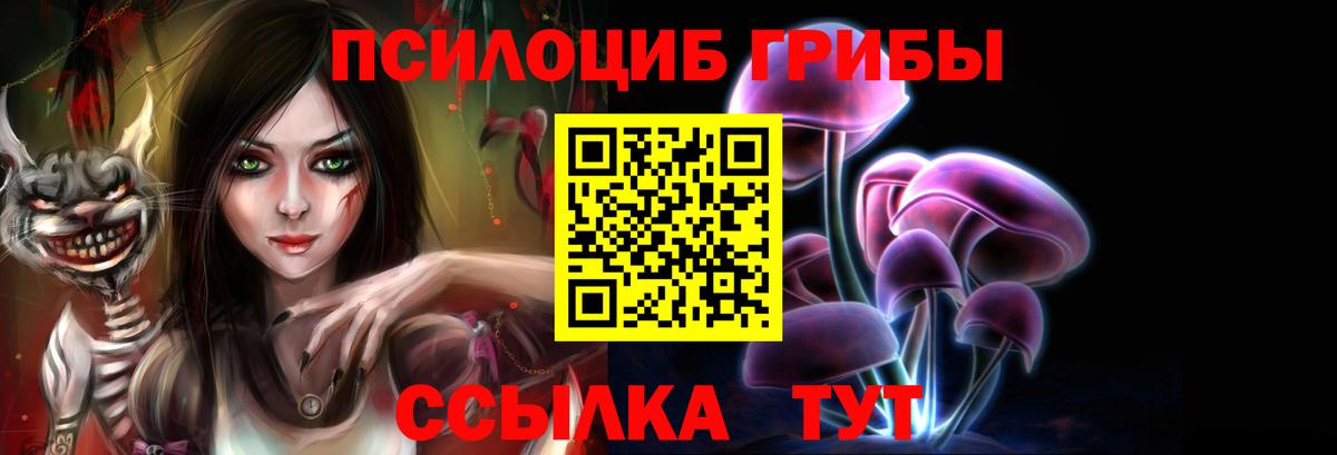 Галлюциногенные грибы Cubensis  Ковров 