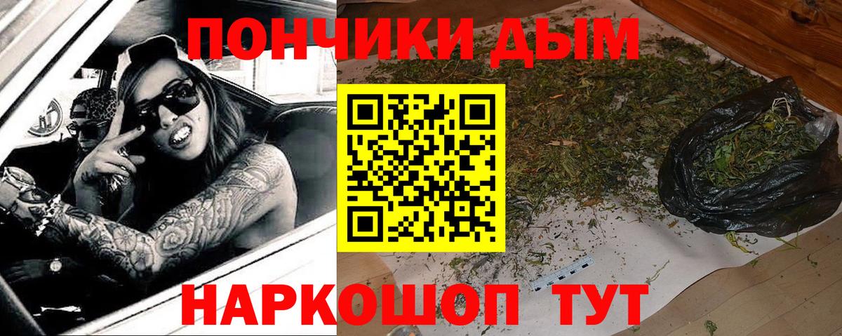Бошки марихуана планчик  Конопля гибрид  Вход с VPN  Ковров  Бошки Шишки Bruce Banner 